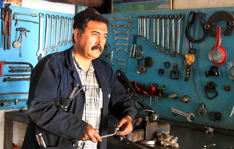 Sustainability Expert